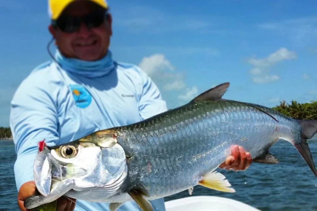 Tarpon Fishing Belize