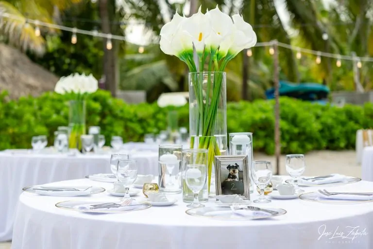 Edin_Linda_Wedding_-_Villa_Aurora_San_Pedro_Ambergris_Caye_Belize_-_SELECTIONS_-11 (1)